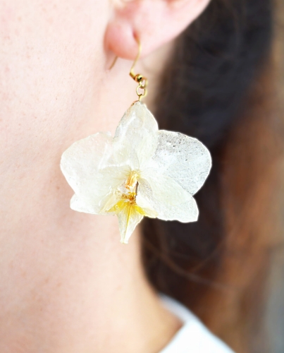 DSC_0512.JPG